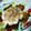 ぼけっともんすた's cooksnap of when they made 生あげ焼肉風ツナマヨかつおぶしソース.