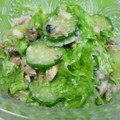 みっくママ's cooksnap of when they made さば水煮缶で簡単サラダ.