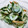 クックDSMCU4☆'s cooksnap of when they made ＊ちくわのわさびマヨ和え＊.