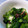 おかゆとおから's cooksnap of when they made つるむらさきとオクラの梅和え.
