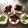 狩尾菫's cooksnap of when they made ✩超簡単ティラミス✩.