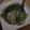 みほきのこ's cooksnap of when they made ダノンビオでなめらか青汁.