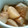 ねこはがき's cooksnap of when they made さといも厚揚げ煮.