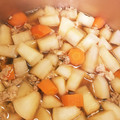ぺろむーしゃ's cooksnap of when they made 大根と人参と鶏挽肉のほっこり煮.
