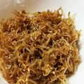 TOMOZカフェ's cooksnap of when they made ちりめんじゃこの佃煮.