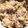 あんころんぬ's cooksnap of when they made 簡単！究極のふわとろ親子丼.