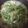 片付け苦手's cooksnap of when they made 豆苗の卵スープ.