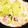はいね976's cooksnap of when they made 生姜たっぷり豚肉の豆乳鍋.