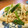 rakuen's cooksnap of when they made もやしとエノキの和え物.