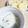 もときらぶ's cooksnap of when they made ほうれん草と海老の＊簡単クリームパスタ.