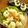 るるおか's cooksnap of when they made スモークサーモンとカリフラワーの山葵マヨ.