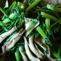 さっつどん's cooksnap of when they made 春菊と舞茸のバターソテー.