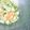 さおる★'s cooksnap of when they made 食感が楽しい！レンサラ.