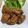 punitaan's cooksnap of when they made 絶品！甘酢仕上げのジューシー！からあげ.