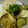 あっくる's cooksnap of when they made ナスと長芋のおひたし.