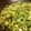 chiriri10's cooksnap of when they made 簡単　はくさいのサラダふりかけ.