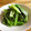 Aloha☆★'s cooksnap of when they made 小松菜の炒めもの.