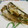 クックORMOQ2☆'s cooksnap of when they made いわしのあたただし煮.
