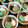 gajyumama's cooksnap of when they made あずきのムース.