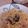 ゆるゆるゆるり's cooksnap of when they made 牡蠣とベーコンの和風パスタ.