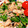Mocci。's cooksnap of when they made 白だしで！ピーマンとしいたけじゃこ炒め♪.