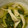 なっち1001's cooksnap of when they made 小松菜とえのきの煮浸し.
