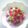 野菜のはたけ's cooksnap of when they made コロコロ甘酢紅芯大根サラダ.