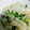 ユーロン's cooksnap of when they made ダイエット！大根の炊き込みご飯(^^)v.