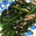ぱぱぷぅ's cooksnap of when they made 保育園の❀ほうれん草とツナと海苔の和え物.