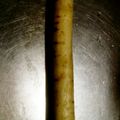 クックHB0OYQ☆'s cooksnap of when they made ゴボウの皮をきれいに剥く方法.