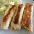 Ｍぱん's cooksnap of when they made 楽チン！揚げ餃子春巻き.