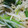 クックO4G3CB☆'s cooksnap of when they made 簡単一品！ほうれん草ともやしのナムル。.