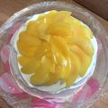よしカーチャン's cooksnap of when they made 作り方簡単！美味しいヨーグルトムース☺.