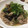 613yukie's cooksnap of when they made 材料３つ‼︎ 豚薄切り肉のみぞれ焼き.