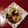 yesmama's cooksnap of when they made 切干大根とタコの粕酢和え.