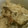 GUGUPEKORI's cooksnap of when they made おふくろの味◎きのこの炊き込みご飯.