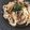 juni1532's cooksnap of when they made コストコプルコギと冷凍野菜で簡単焼うどん.
