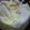 クックOYTSP1☆'s cooksnap of when they made 簡単☆白菜の中華クリーム煮☆お子様にも.