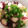 rumn's cooksnap of when they made タコとエノキのニンニクバター炒め♪.