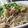 ちばたま's cooksnap of when they made ソース味の☆そうめんチャンプルー.
