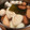gakoちゃん's cooksnap of when they made 我が家のおでん♪　だしつゆ～☆.