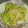 kanakoごはん＊'s cooksnap of when they made 白菜とエノキの味噌バター炒め☆.