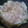 クックIXD98V☆'s cooksnap of when they made 白菜ともやしと豚肉の蒸し煮.