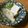 Jaye's cooksnap of when they made 絶品！冬サバDE潮汁ぽい湯豆腐♪.