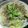クック3D5490☆'s cooksnap of when they made すぐできる♪蒸し豚しゃぶ♪.