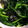 あさここなっつ's cooksnap of when they made ほうれん草の海苔和え.