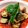 クック335HUM☆'s cooksnap of when they made 黒むつのソテー　トマトソースでどうぞ.