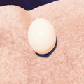 akashi16's cooksnap of when they made ゆで卵の殻がつるんと剥ける方法.