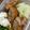 korine's cooksnap of when they made アレルギー対応　レンジで簡単ハンバーグ.