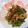 kawa♡'s cooksnap of when they made お弁当のおかず☆ピーマンと竹輪の炒め煮.